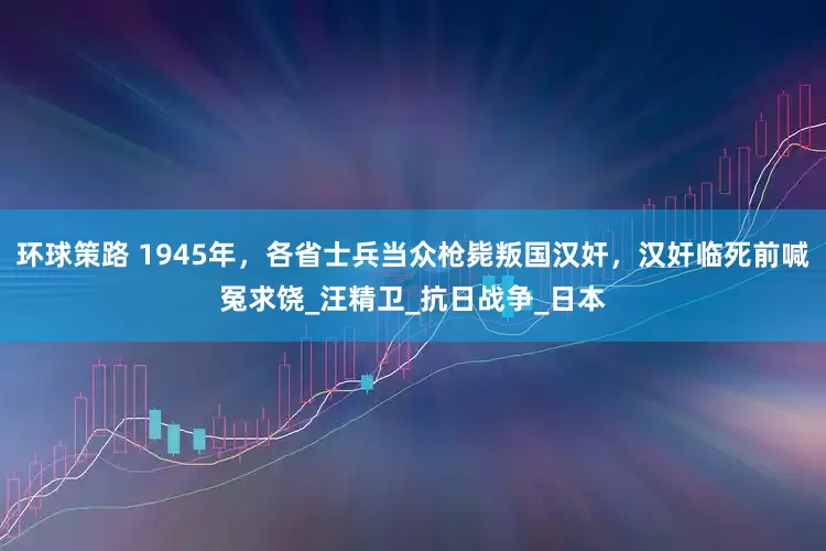 环球策路 1945年，各省士兵当众枪毙叛国汉奸，汉奸临死前喊冤求饶_汪精卫_抗日战争_日本