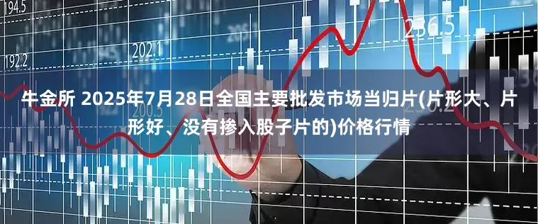 牛金所 2025年7月28日全国主要批发市场当归片(片形大、片形好、没有掺入股子片的)价格行情