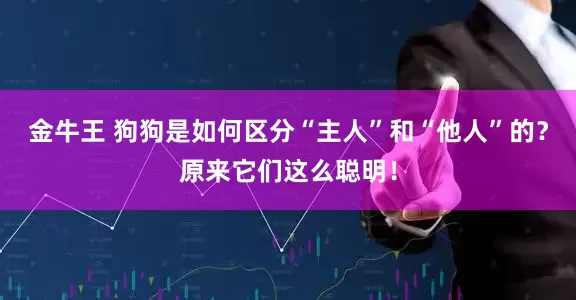 金牛王 狗狗是如何区分“主人”和“他人”的？原来它们这么聪明！